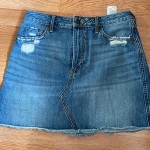 Abercrombie & Fitch Jean Skirt